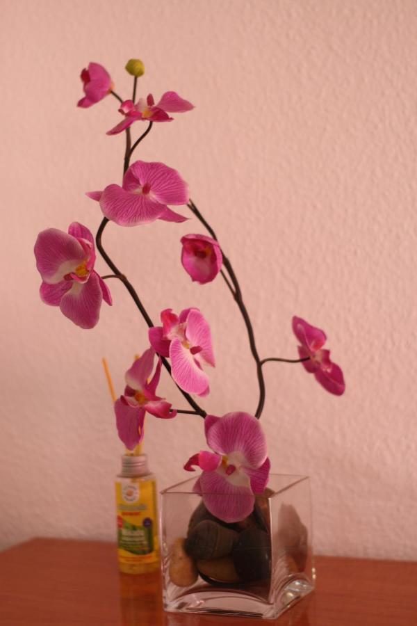 Apartamento Calle De La Cordera, 3 Torremolinos Exteriér fotografie